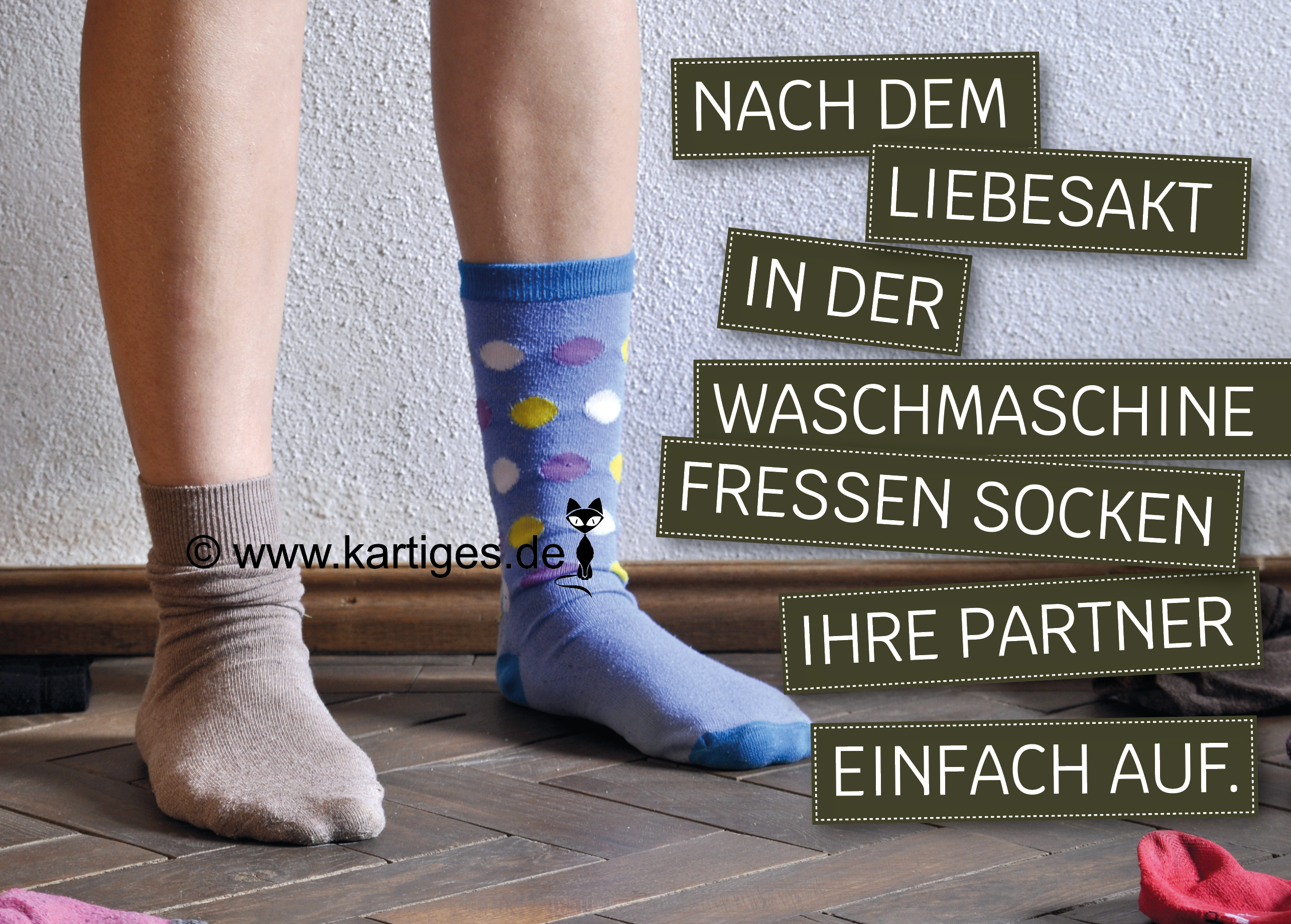 Nach dem Liebesakt in der Waschmaschine fressen Socken ihre Partner einfach auf
