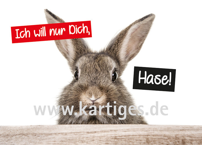 Ich will nur Dich, Hase1
