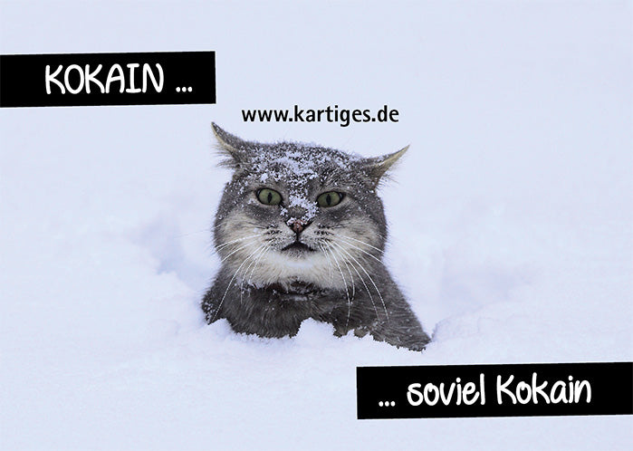 Kokain ... soviel Kokain!