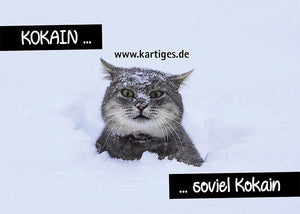 Kokain ... soviel Kokain!