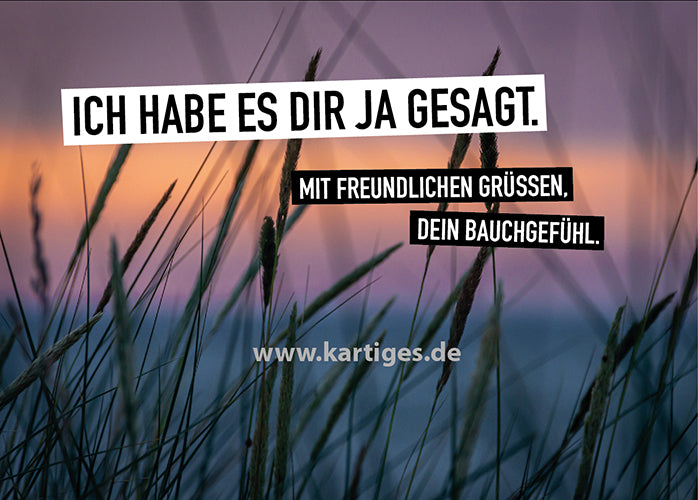 Ich habe es dir ja gesagt. Mit freundlichen Grüssen, dein Bauchgefühl.