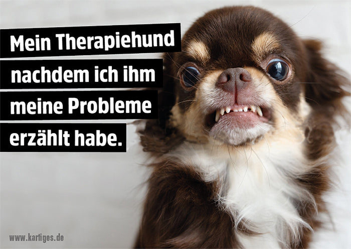 Mein Therapiehund nachdem ich ihm meine Probleme erzählt habe.