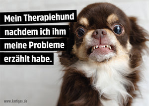 Mein Therapiehund nachdem ich ihm meine Probleme erzählt habe.