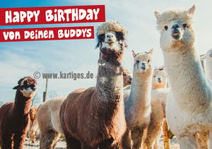 Happy Birthday von Deinen Buddys