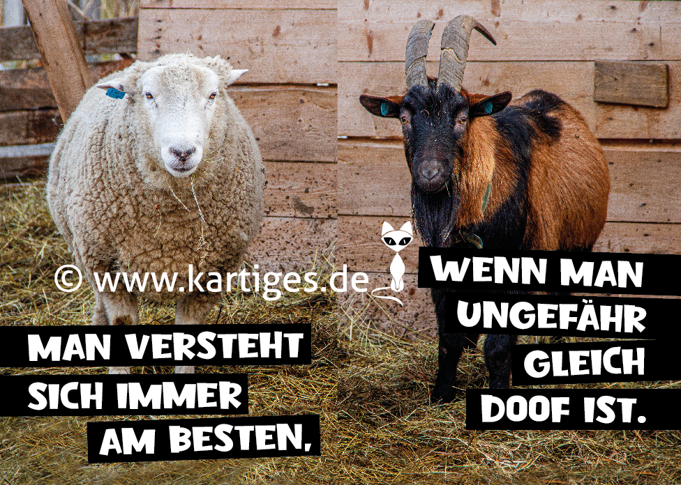 Man versteht sich immer am besten,    PK 123