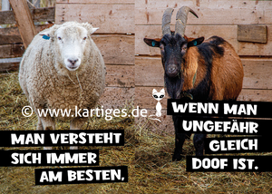 Man versteht sich immer am besten,    PK 123