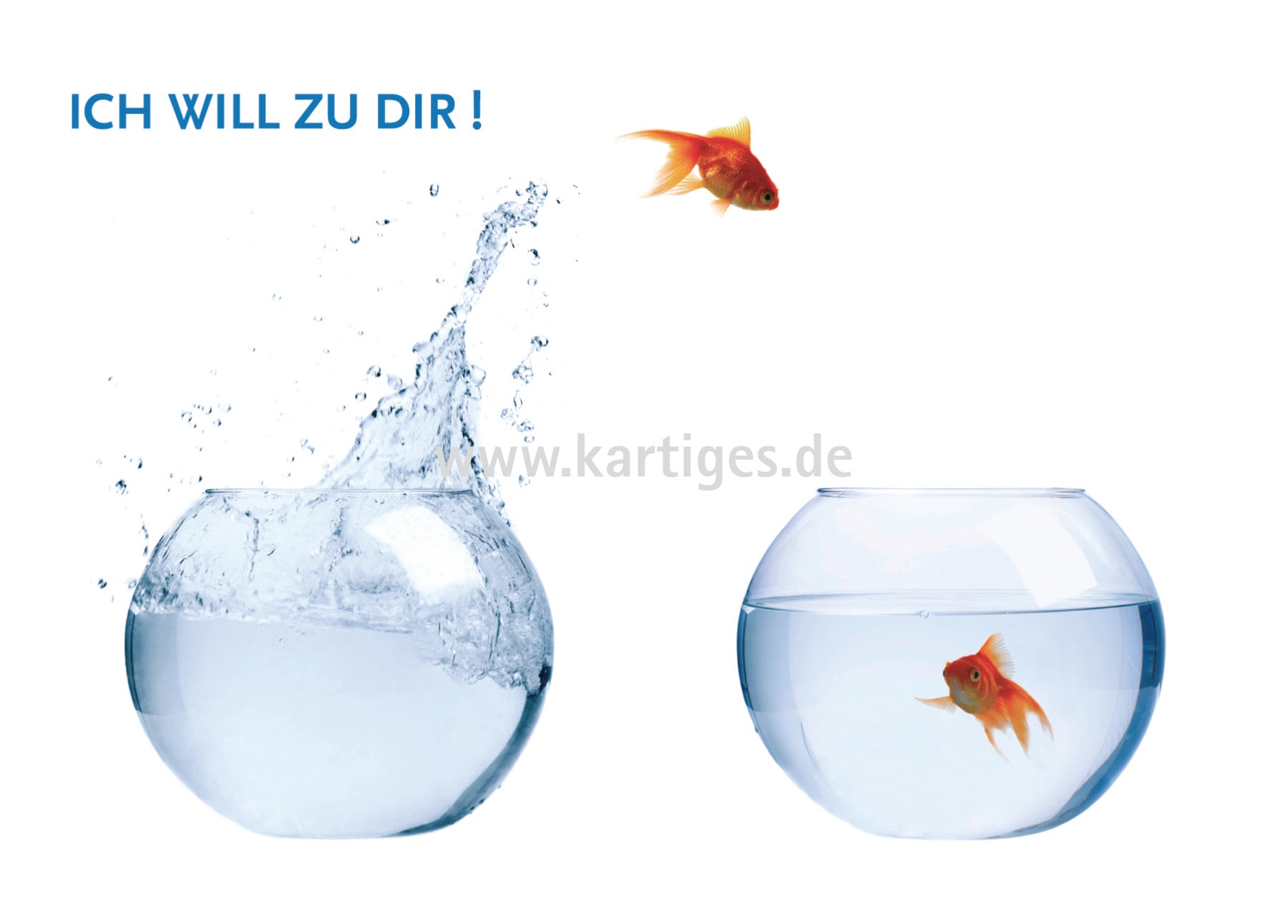 Ich will zu Dir