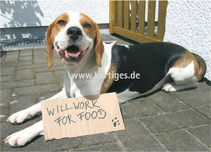 Will work for food
