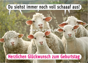 Du siehst immer noch voll schaaf aus.