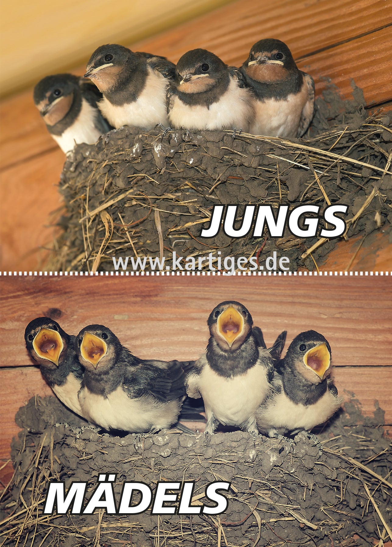 Jungs vs. Mädels